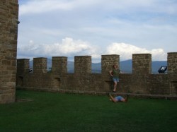 This was taken at Poppi Castle
Location: Situated on a hilltop in the Casentino valley in the province of Arezzo, Tuscany.
History: Built around the 13th century (c. 1274) by the Guidi counts, its architecture is said to have served as a prototype for Florence's Palazzo Vecchio.
Notable Figure: Dante Alighieri stayed at the castle during his exile and is believed to have written parts of the Divine Comedy here.